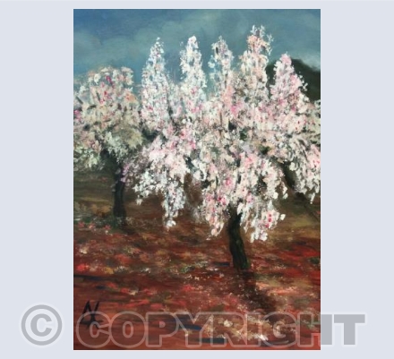 Almond Blossom