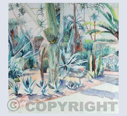 Cactus House, Kew