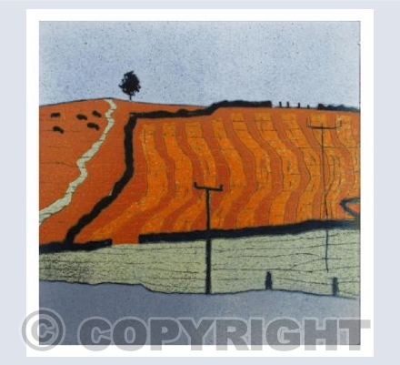Red Earth Ploughed