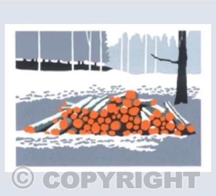 'Winter Fuel' 