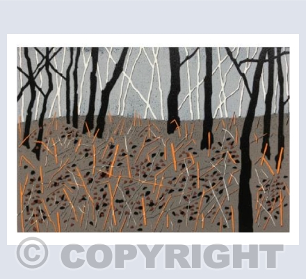 Winter Wood