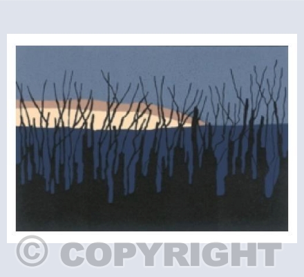 First Light