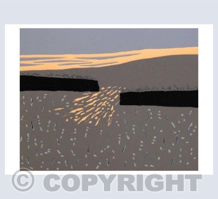 'Passing Through'
