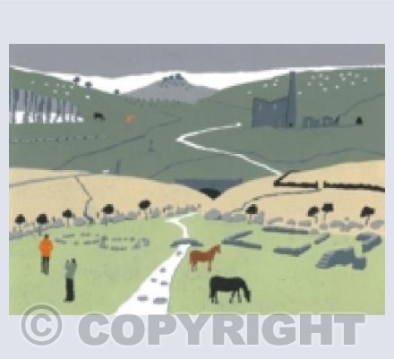 '21st Century Dartmoor'