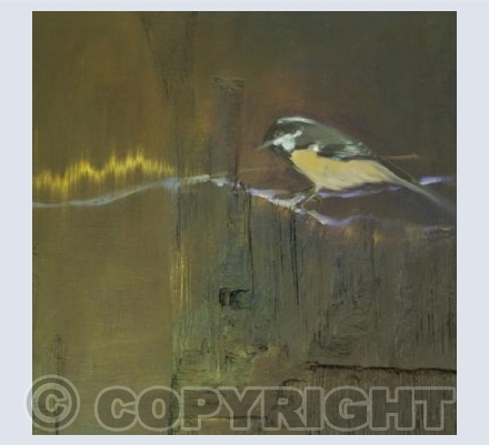 Marsh Tit