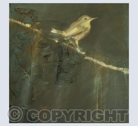 Wren