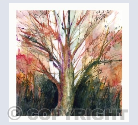 Tree near Grumbla