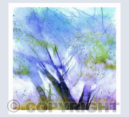 Bluebell Light
