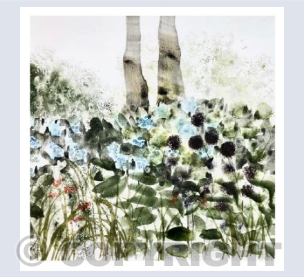 Crocosmia and Hydrangeas, Trengwainton 