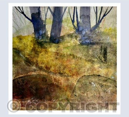 Woodland path, West Penwith