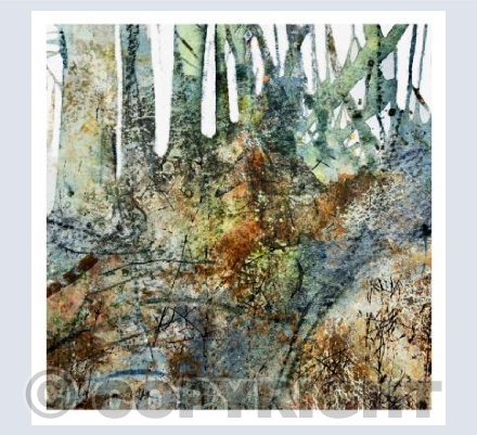 Rare Woodland, West Penwith