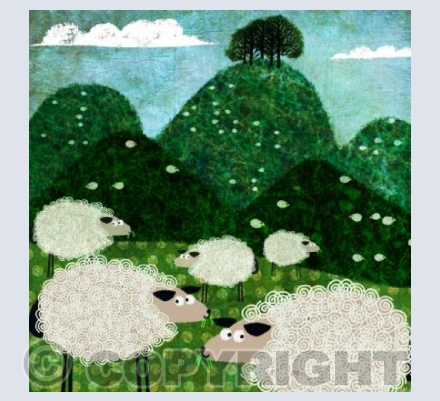 Sheep
