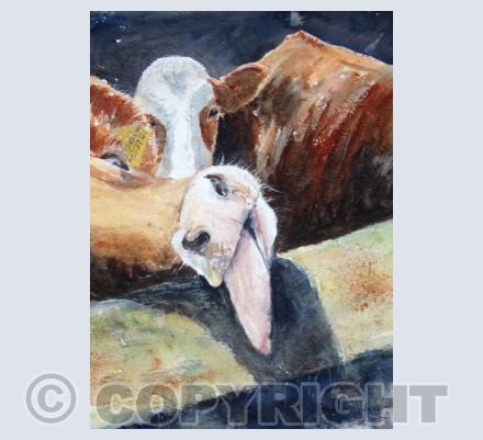 Just being friendly!