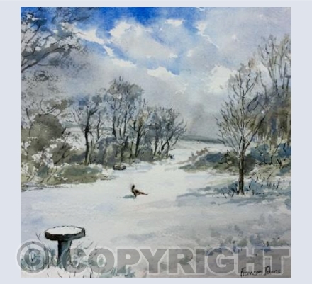 Country Snow Scene