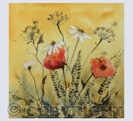 Summer Meadow
