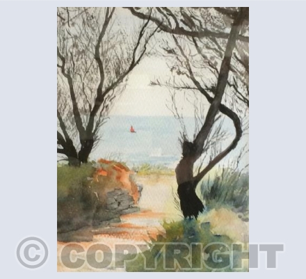 Coastal Path at The Lizard, Cornwall.