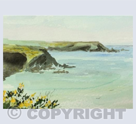 North Cliffs, near Portreath, Cornwall.