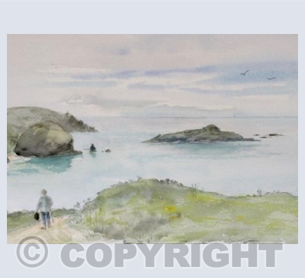 Mullion Isle - Summer Evening