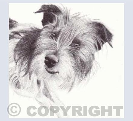 Lil' Dog Sam