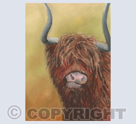 Murdo