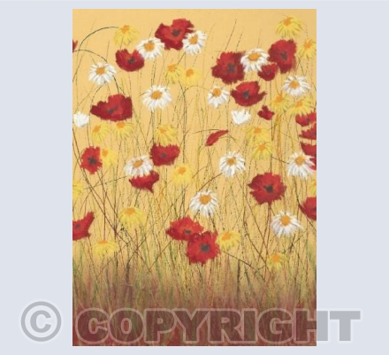 poppies and daises