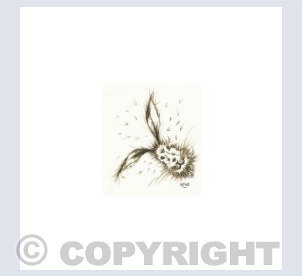 Hoppy hare