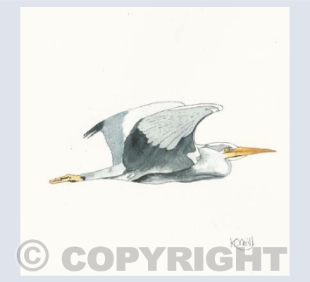 Flying heron