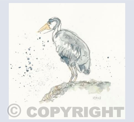 Watching and waiting