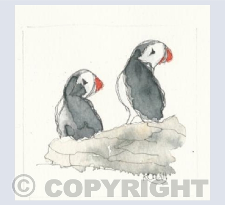 puffins