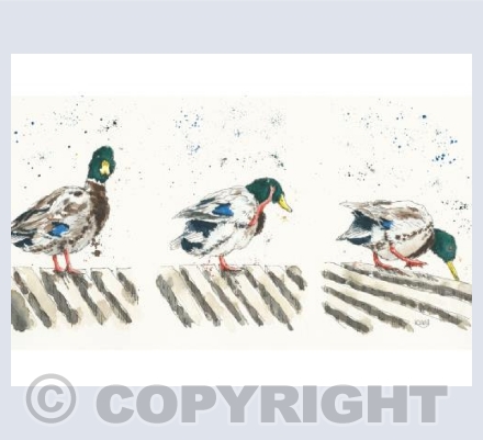 Putting your ducks in a row