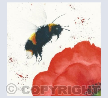 Bee and poppy 1