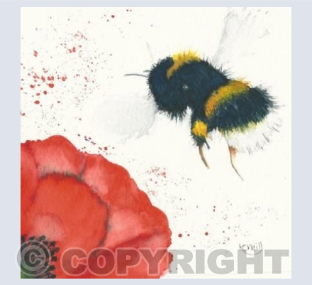 Bee and poppy 2