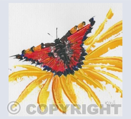Red admiral