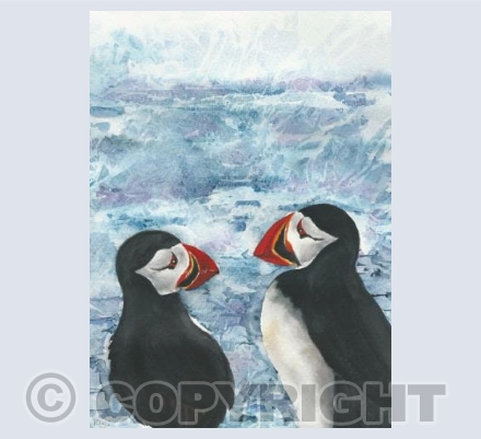 pair of puffins