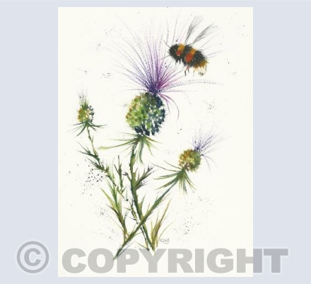 Thistles and bee