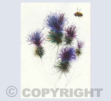 Thistles and bee