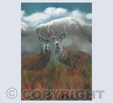 Pair of stags