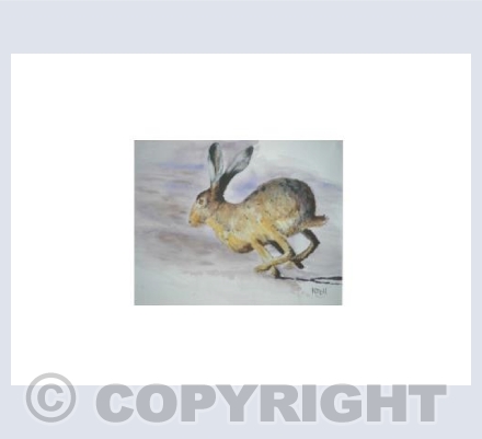 Running hare
