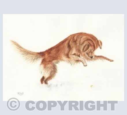 Playing in the snow