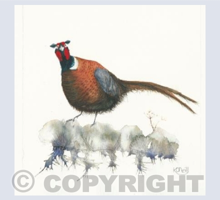 So pheasants do have ears