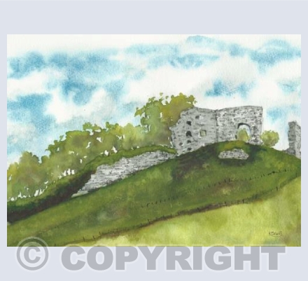 Skelbo castle in summer