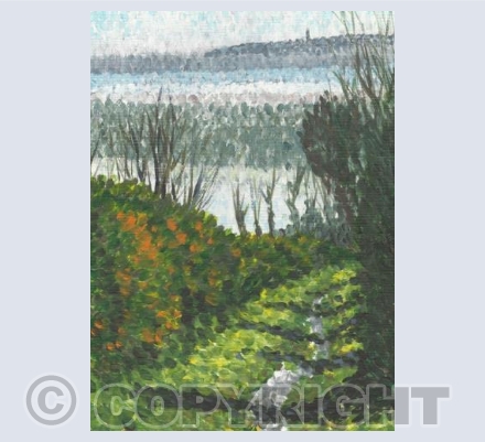 Tarbat Ness