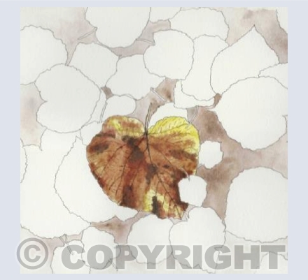 Autumn leaves