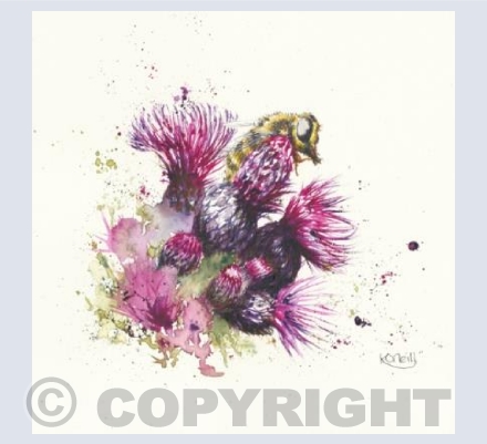 Thistle and bee
