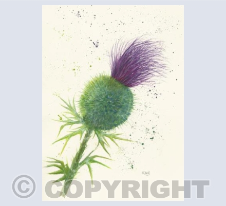 large round thistle