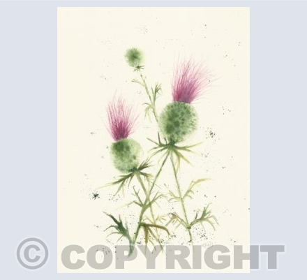 thistles in acrylic ink