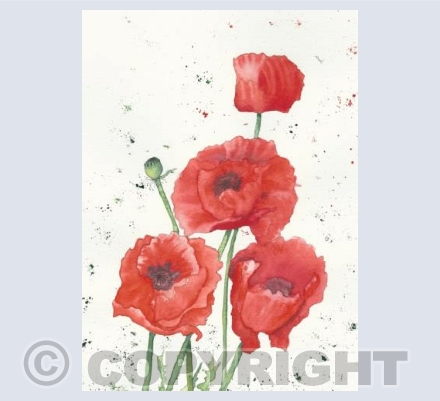three poppies
