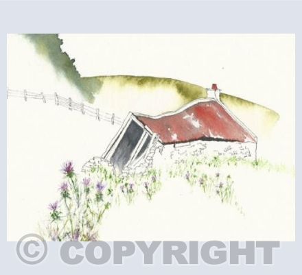 Thistles at Shandwick