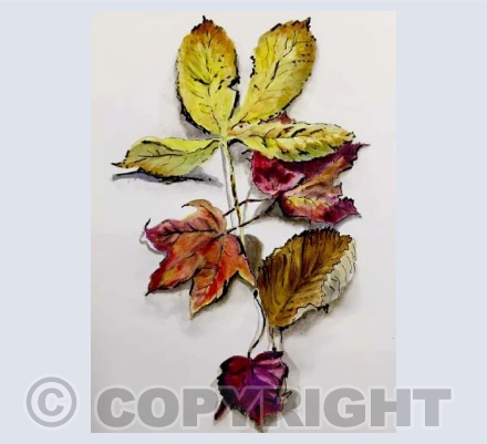 Autumn leaves