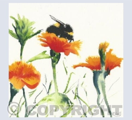 Bee and marigolds